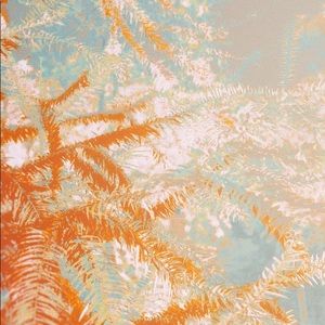 Meet your Posher, Xinbei